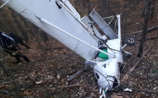 Пилот погиб при падении легкомоторного самолёта в Пензенской области (ВИДЕО)