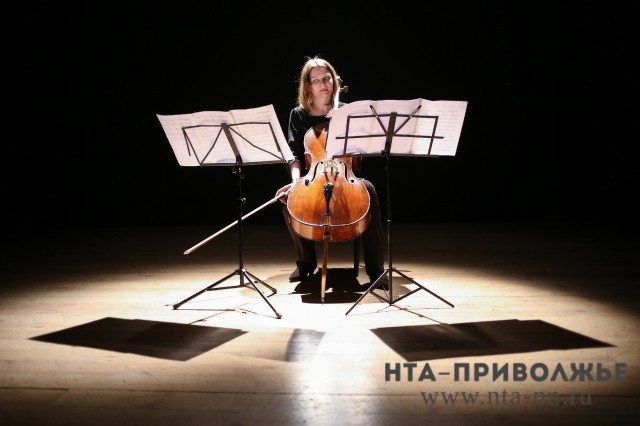 Более 7 млн рублей получила нижегородская детская школа искусств № 1 на закупку музыкальных инструментов