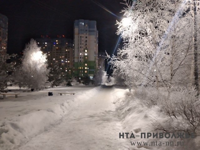 Снегопад в Нижегородской области продлится и 11 января