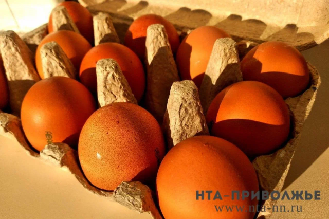 Более 1,5 млрд яиц произвели в Мордовии в 2023 году