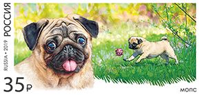 Посвященные декоративным породам собак почтовые марки выпущены в России
