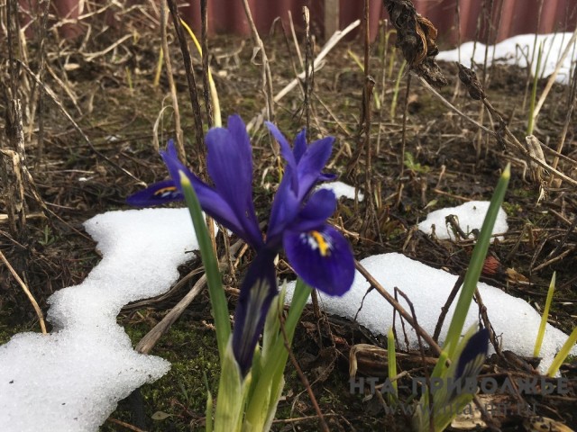 Настоящая весна придет в Нижегородскую область в третьей декаде марта