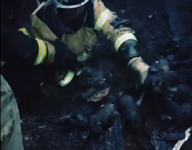 Нижегородские пожарные спасли из горящего дома двухнедельных щенков (Видео)