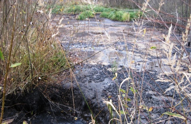 Россельхознадзор оценил ущерб от загрязнения РЖД почвы нефтеотходами в Кстовском районе в 1,9 млн рублей