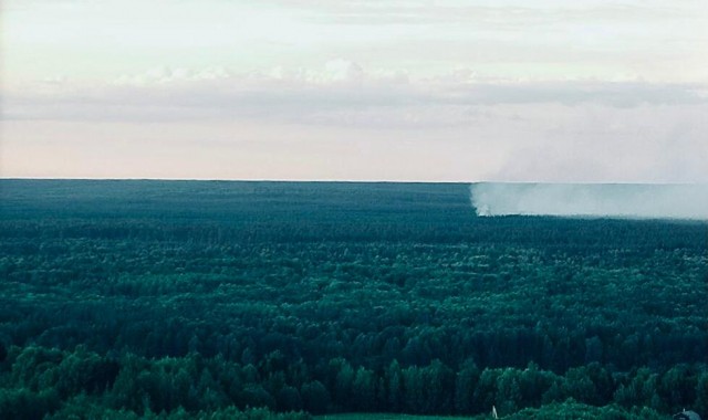 Два лесных пожара ликвидировали в Нижегородской области за сутки