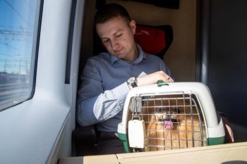 АО &quot;ФПК&quot; внесёт изменения в правила перевозки животных после ситуации с котом Твиксом