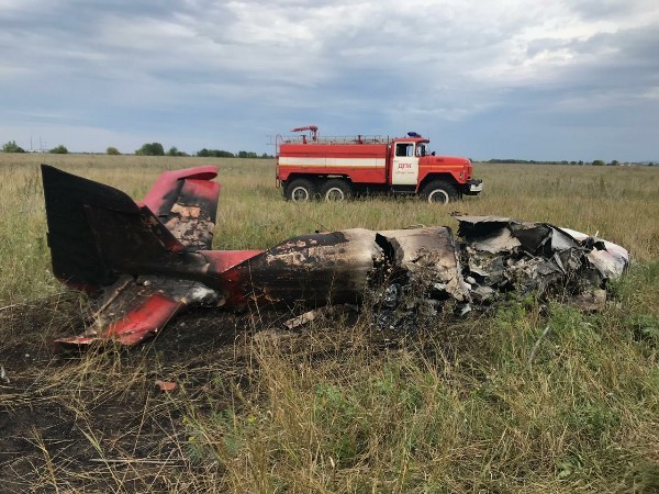 Одноместный самолёт рухнул в Самарской области: пилот погиб (ВИДЕО)